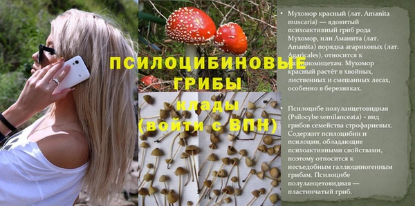 кокаин колумбия Михайлов