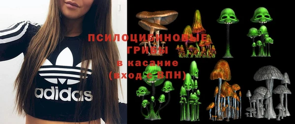 соль курить ск Михайловск
