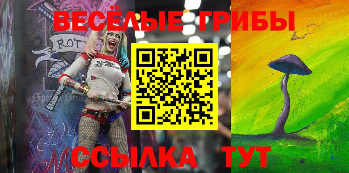 Псилоцибиновые грибы GOLDEN TEACHER Рославль